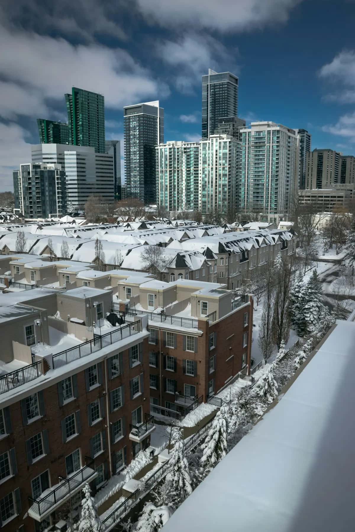 Professional moving services in North York