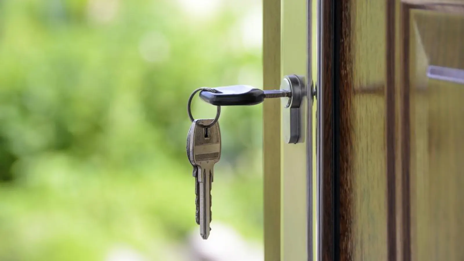 Same Day Movers North York: How It Works and What to Expect