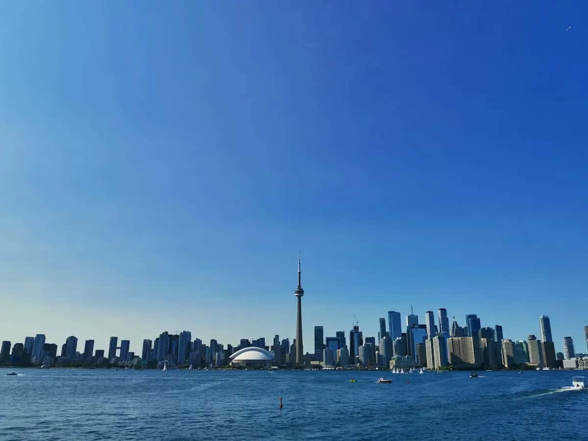 Professional moving services in Etobicoke